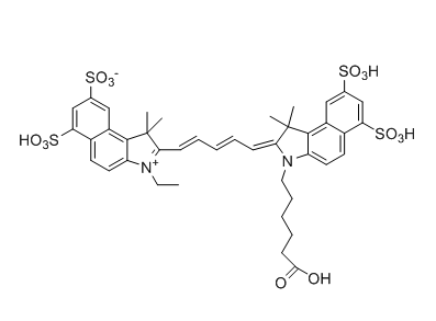 Cy5.5 Dyes