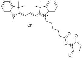 Cy3 NHS