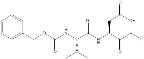 MX-1013