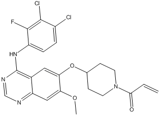 Poziotinib