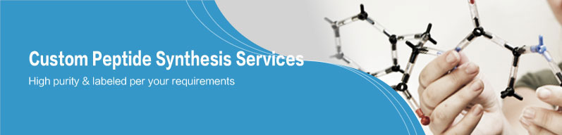 Custom Peptide Synthesis Services