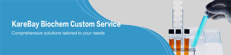 Custom Synthesis Services