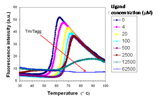 Custom Peptide Synthesis Graph