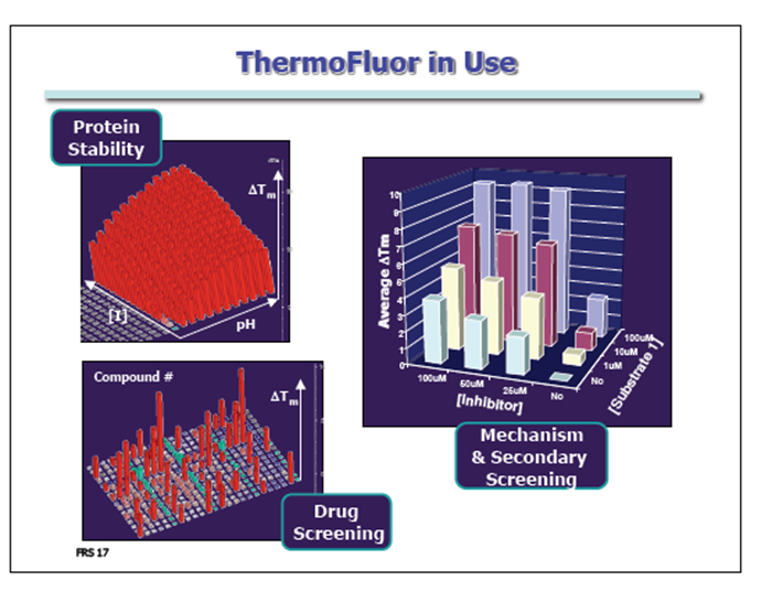 Custom Peptide Synthesis ThermoFlour