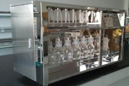 PEPTIDE PEPTIDE