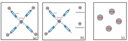 Pro-Drug Conjugates