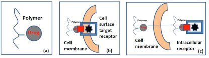 Small Molecule Polymer Conjugates